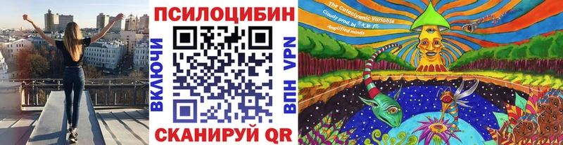 Купить закладки  Горбатов  Псилоцибиновые грибы Psilocybe 